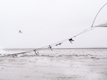 WINTERHALTER-Elizabeth, Palangres, couleur, paysages