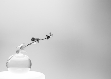 ZINDY Gilles, Vase, monochrome, minimaliste