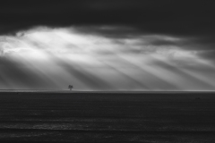 conan serge, minimart, monochrome, créative