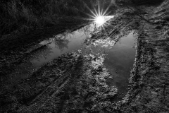 CHAPEL Martine, La flaque, monochrome, paysages