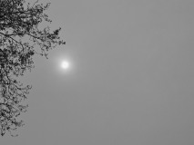 PARENT_Benoit, Soleil timide, monochrome, minimaliste