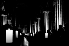 de CUSSY Bruno, de- CUSSY_Bruno_Cath-Rouen, monochrome, créative